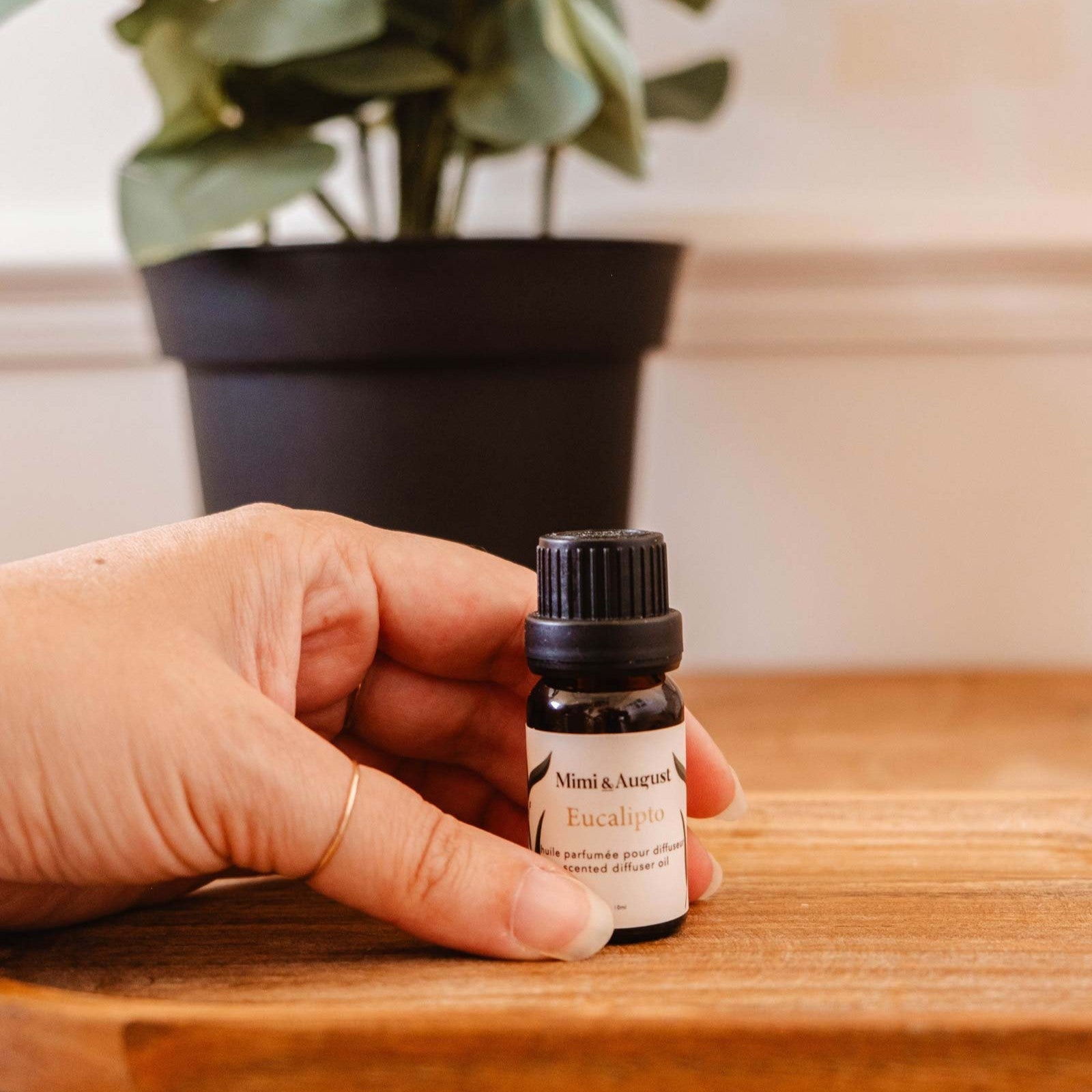 Scented Diffuser Oil - Eucalipto 10ml